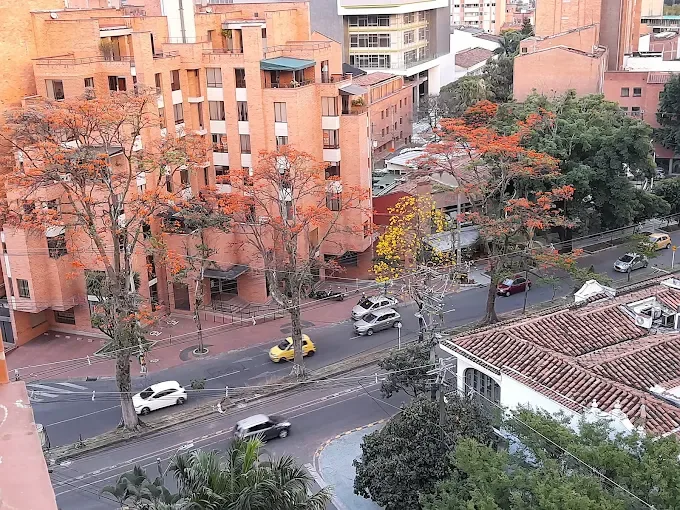 Aerial view of an urban avenue lined with orange-flowering trees and red brick buildings in a Latin American city.