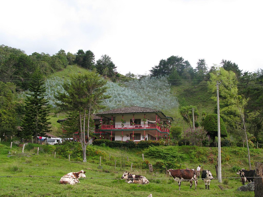Coffee farmhouse with a wide corridor and flowers